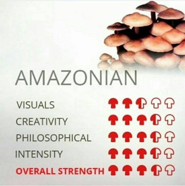 AMAZONIAN SHROOM🍄