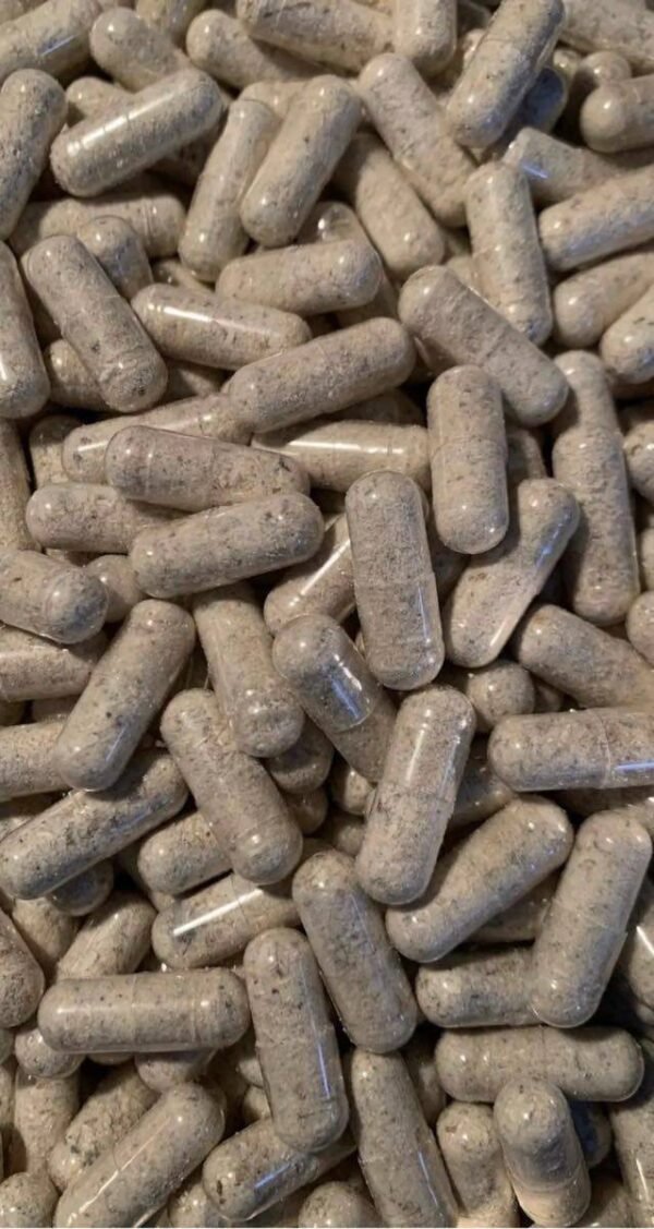 𝐏𝐬𝐲𝐜𝐡𝐞𝐥𝐢𝐜𝐬 𝐌𝐮𝐬𝐡𝐫𝗼𝗼𝗺 𝐌𝐢𝐜𝐫𝗼𝐝𝗼𝐬𝐞